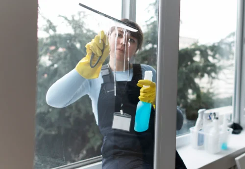 Nettoyage de vitres intérieures et extérieures à Rompon